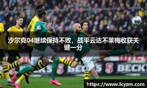 沙尔克04继续保持不败，战平云达不莱梅收获关键一分